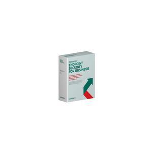 Kaspersky endpoint KL4863XAKDU