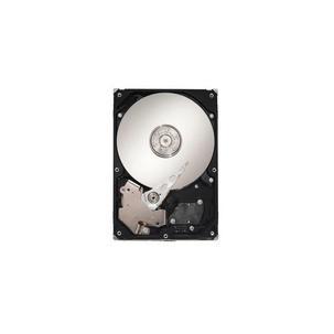 Infortrend seagate HELS72S3T10-0030G