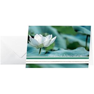 Trauerkarte "Water Lily" DS103
