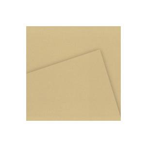 Zeichenpapier "C" à Grain Couleur, ockergelb meliert C400110391